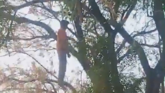 Hide-And-Seek Is Different In India