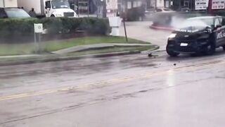 Houston Idiot Plays Bumper Cars With Real Cars, Ends With Police Cruiser As His Final