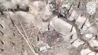 Global Whiore Ukraine War Bitch Slapped Invaders