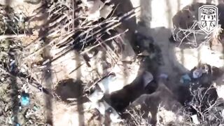 Global Whiore Ukraine War Bitch Slapped Invaders