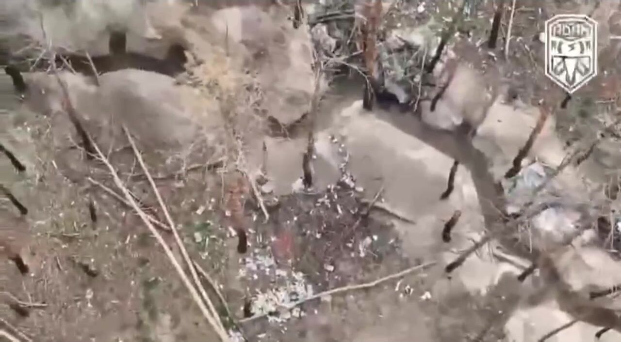 Global Whiore Ukraine War Bitch Slapped Invaders