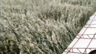 Man critically injured after being swept several feet into the air