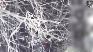 50 dead bodies of pedoruzzian invaders around Chasiv Yar, Ukraine