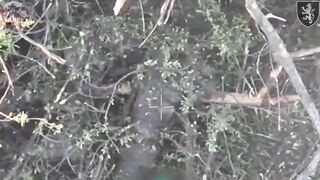 50 dead bodies of pedoruzzian invaders around Chasiv Yar, Ukraine