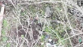 50 dead bodies of pedoruzzian invaders around Chasiv Yar, Ukraine