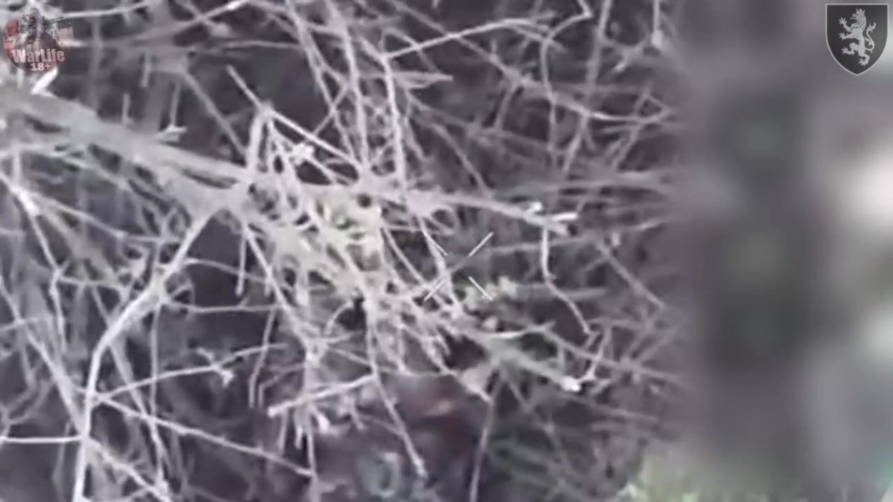 50 dead bodies of pedoruzzian invaders around Chasiv Yar, Ukraine
