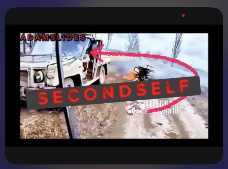 S E C O N D S E L F