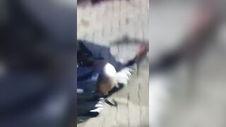 Man Fatally Stabs Beautiful Young Woman Then Stabs Himself