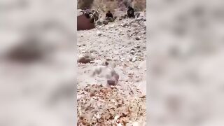 Dismembered Limbs and Gutted Bodies to Celebrate Total Annihilation of Enemies