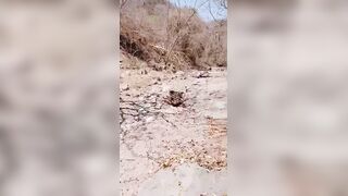 Dismembered Limbs and Gutted Bodies to Celebrate Total Annihilation of Enemies