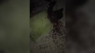 Hatchet Maniacs Return: They Brutally Butchered Their Rival Again