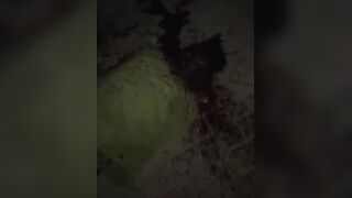 Hatchet Maniacs Return: They Brutally Butchered Their Rival Again