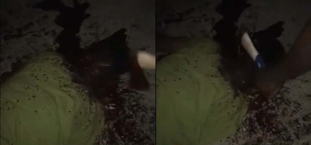 Hatchet Maniacs Return: They Brutally Butchered Their Rival Again