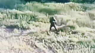 Run Ukrat, RUUUN!!!