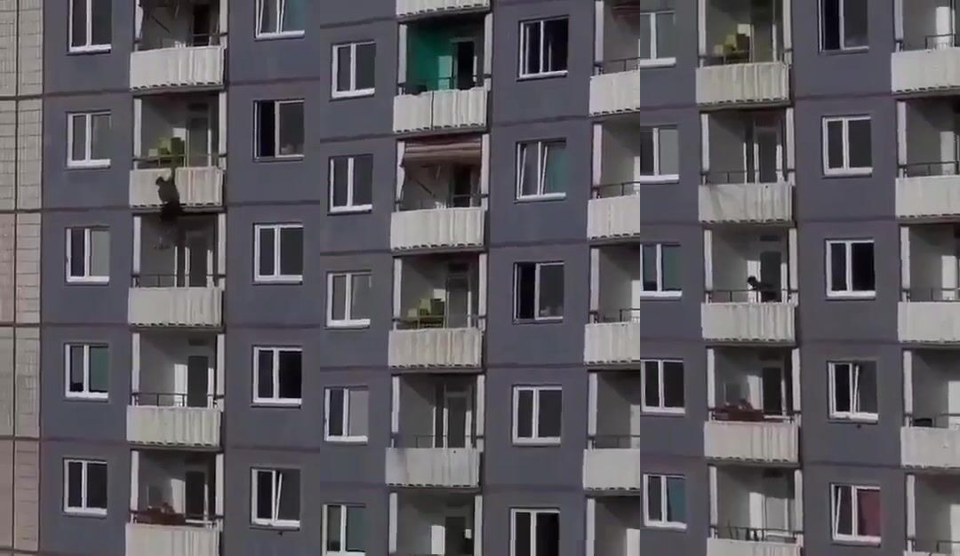 (CLASSSIC)Known Criminal in Germany Decides Gravity Is Better Than Jail — 17 Floors Straight Do