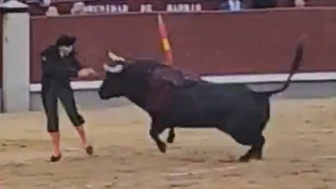 Another Bullfighter Seriously Gored In Span