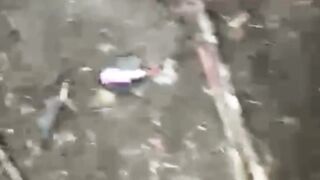 Global Whore Ukraine War | West End Orcs  | Vaporized Russians Series  05162026a