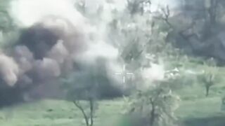 Global Whore Ukraine War | West End Orcs  | Vaporized Russians Series  05162026a