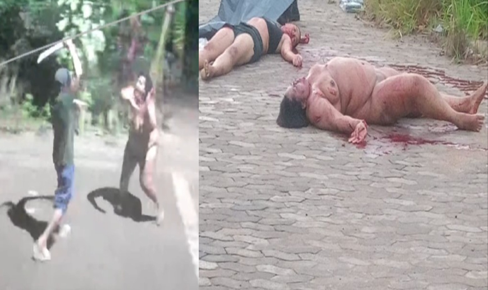 Mother Chased Naked Through Street Before Being Hacked to Death with Machete