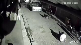Security Cameras Capture Savage Beating; Suspect Quickly Behind Bars