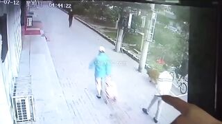Cat knocks out man