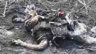 Decomposing Ukrainian.