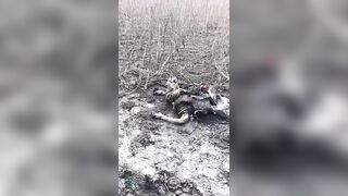 Decomposing Ukrainian.