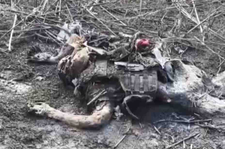 Decomposing Ukrainian.