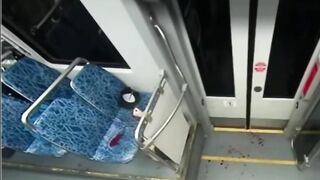 black man kill a woman on the train for no reason
