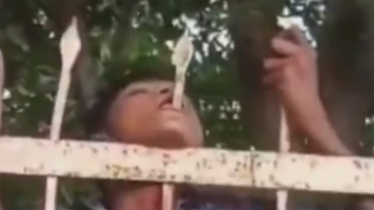 The Taste Of Iron