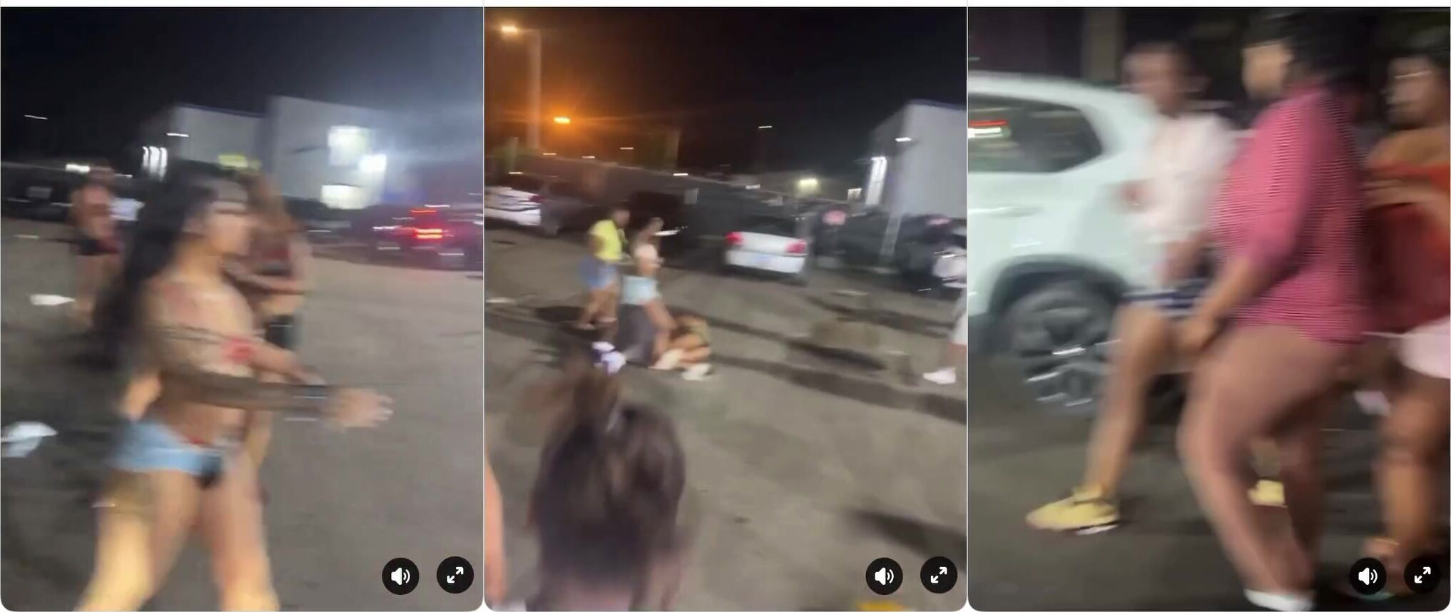 Brawl brings the titties out