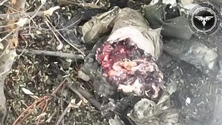 Nasty Russian Savagely Split in Half. — He's Still Moving!