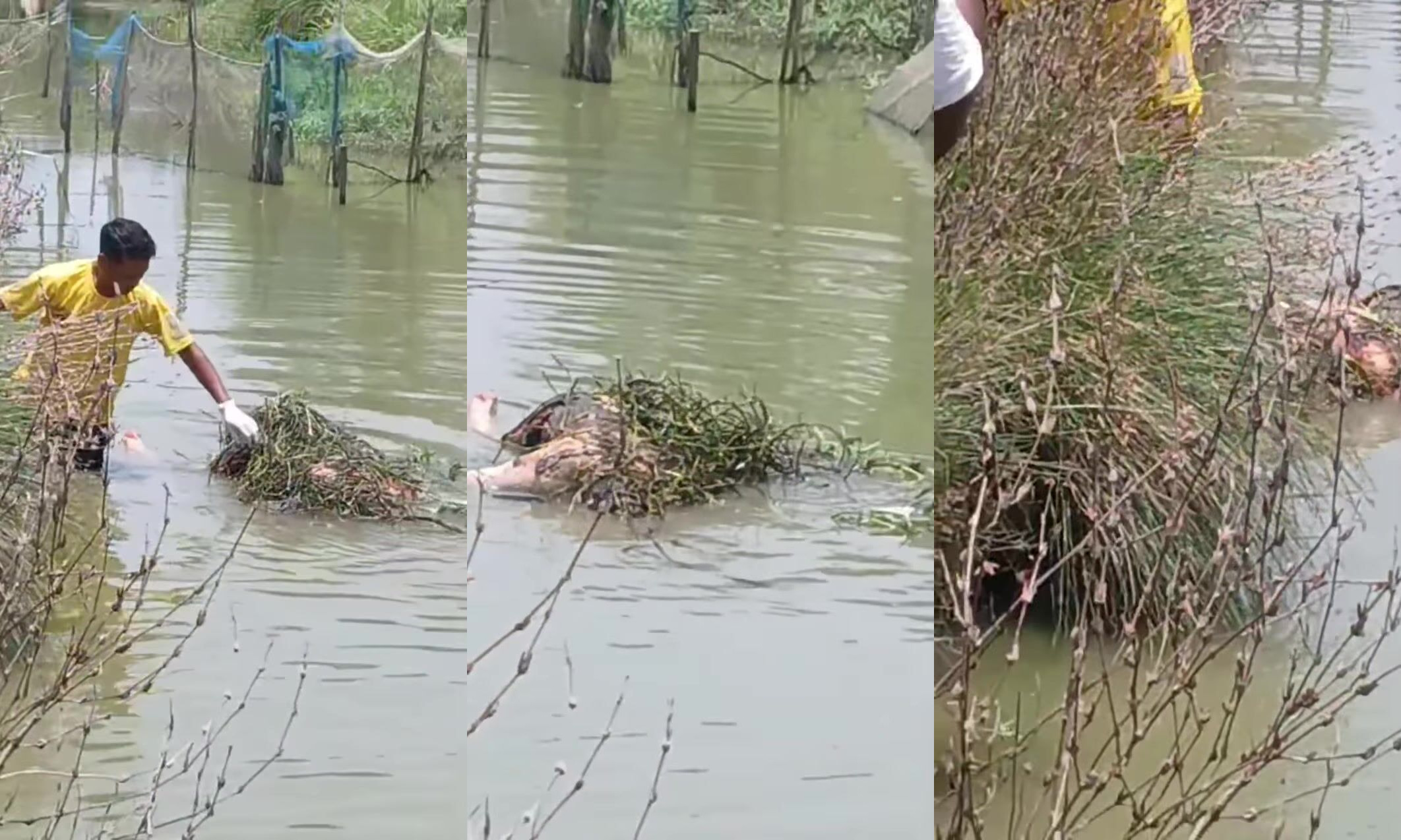Missing Man Found Drowned In A Local Dirty River