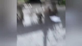 Evil Dude Attacks GF With A Stone In Broad Daylight