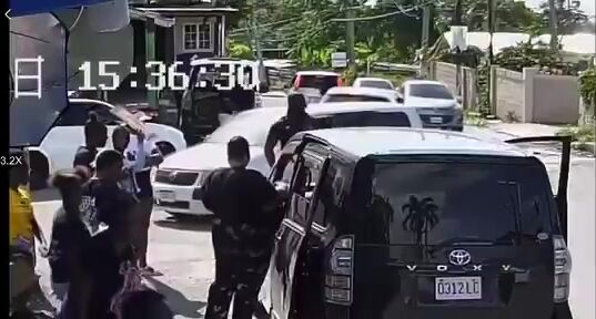 Woman Sitting In Her Car Shot, Killed By Cop In Jamaica