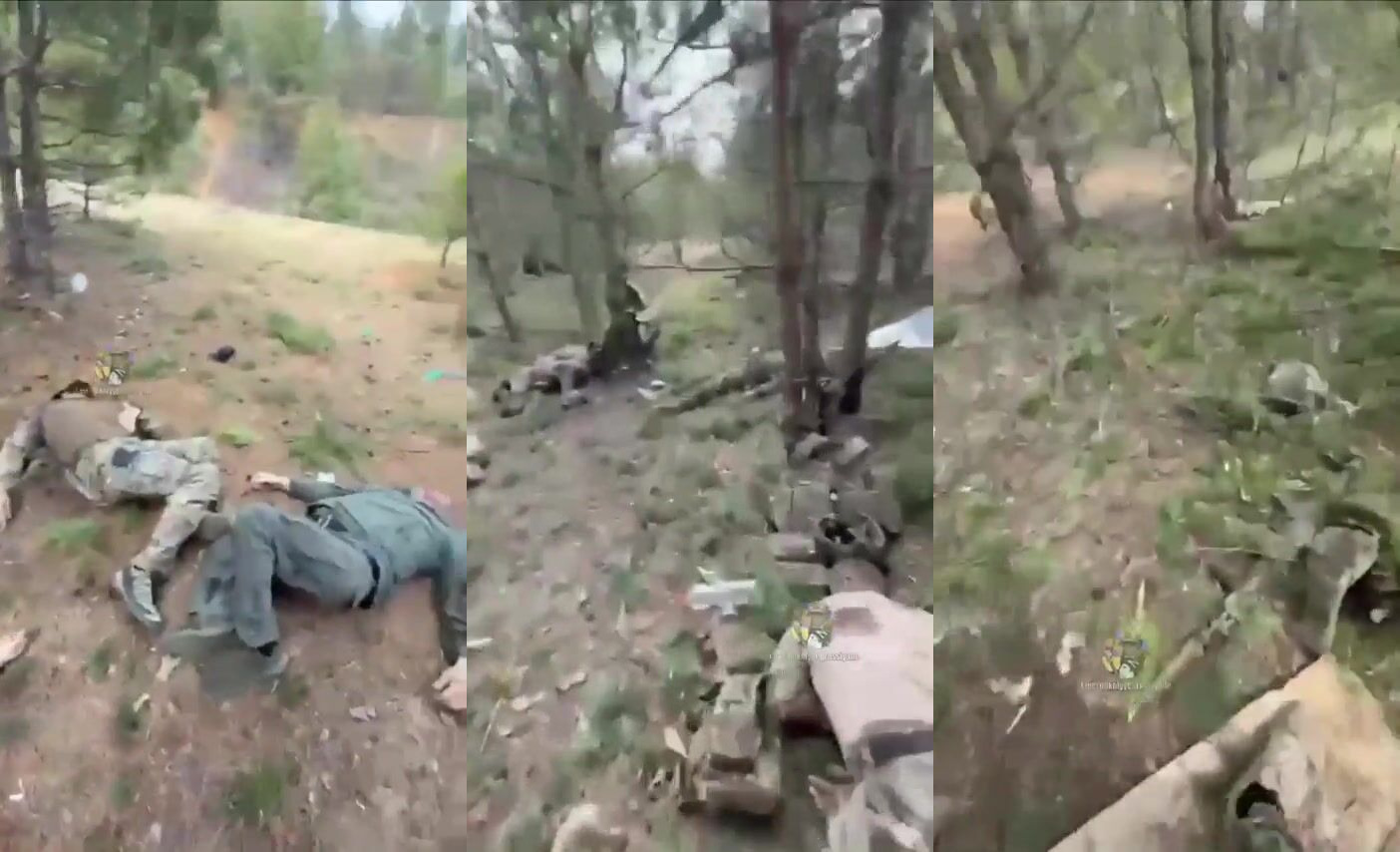 Multiple dead russian soldiers after Himars strike on their position