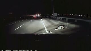 Stranger In The Night