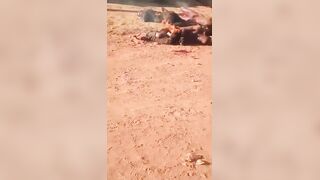 Three Thieves Burned Alive by Angry Mob After Brutal Lynching