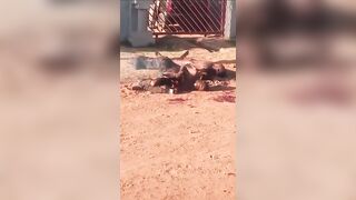 Three Thieves Burned Alive by Angry Mob After Brutal Lynching