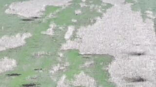 Ghostly Ukrainian Sci-Fi Drone Bursts Russian's Skull
