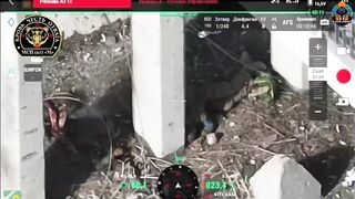 They thought they were safe under a bridge.