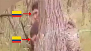 Minus 2 Colombian macaques.