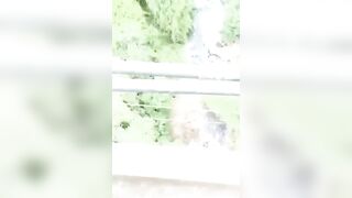 Cellphone Camera  Captures A Moment When Depressed Guy Jumps From The Tall Bridge