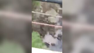 Cellphone Camera  Captures A Moment When Depressed Guy Jumps From The Tall Bridge