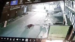 An Elderly Man Crushed to Death by Truck While Heading to Prayers in Haridwar