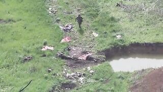 Russian invader running through road decorated with his comrade corpses