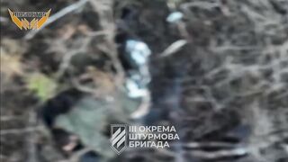 Global Whore | PUMMELING YOUR ORIFICES TILL YOU DIE | Vaporized Russians Compilation