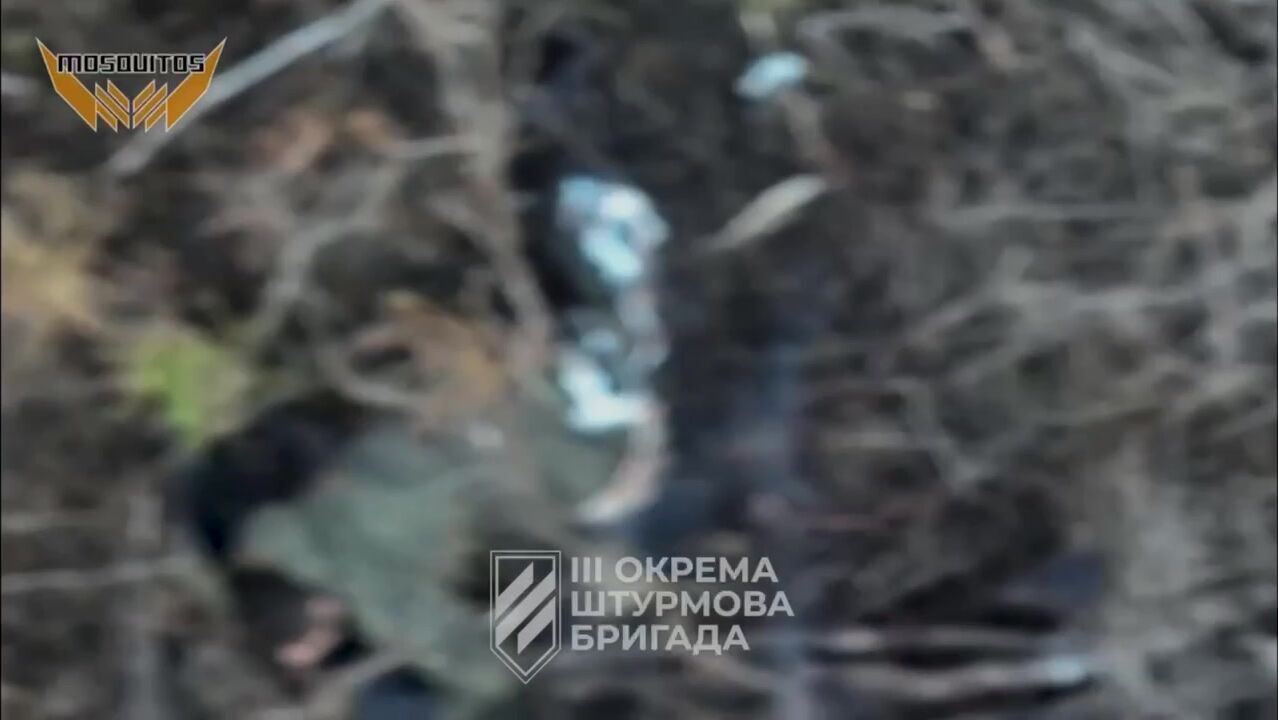 Global Whore | PUMMELING YOUR ORIFICES TILL YOU DIE | Vaporized Russians Compilation