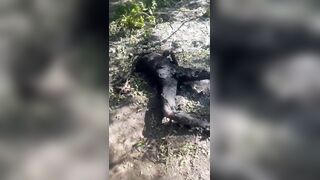 Blacks for Ukraine.