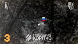 Russian ragdolls